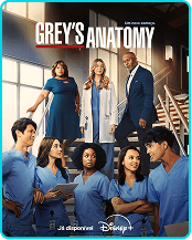 banner serie grays anatomy